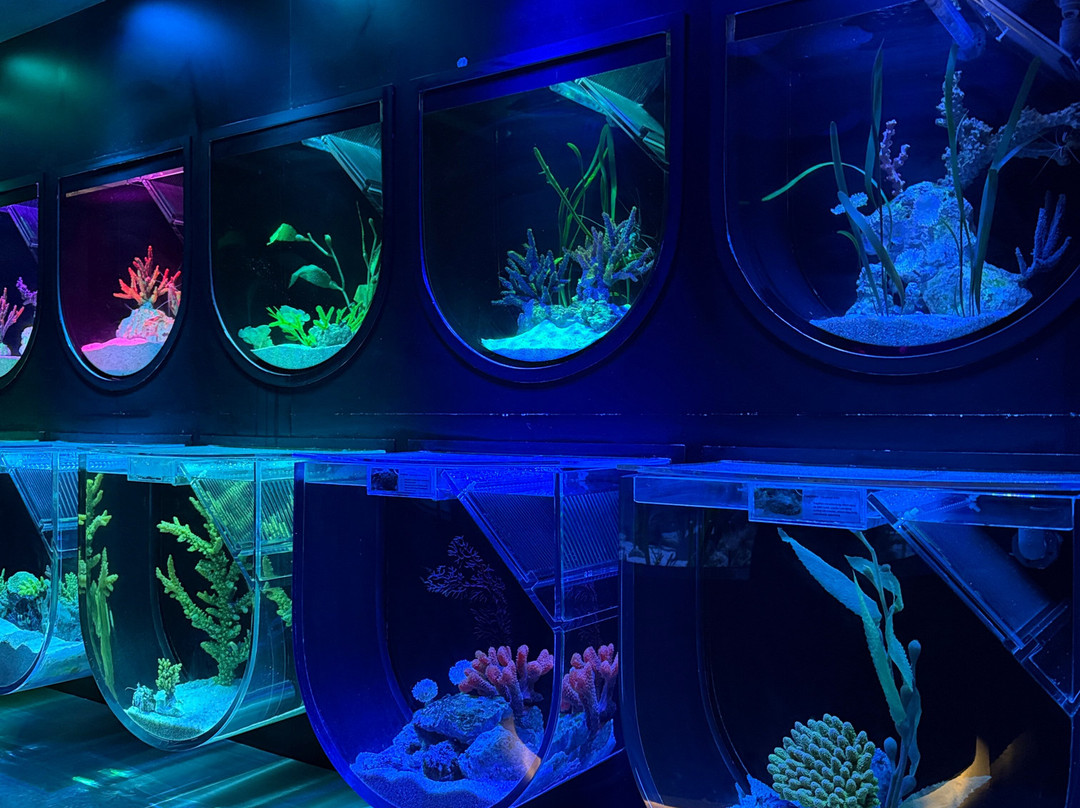 Marassi Aquarium & Underwater Zoo-Diyar Al Muharraq必去景点
