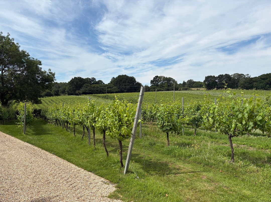 English Oak Vineyard-Lytchett Matravers必去景点