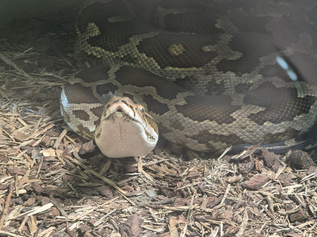 Thrigby Hall Wildlife Gardens-Filby必去景点