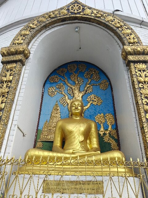 World Peace Pagoda-蓝毗尼必去景点