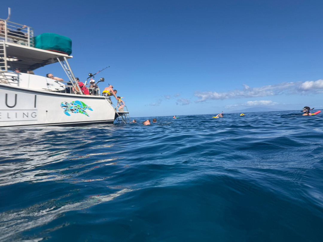 Maui Snorkeling-玛阿拉也亚必去景点