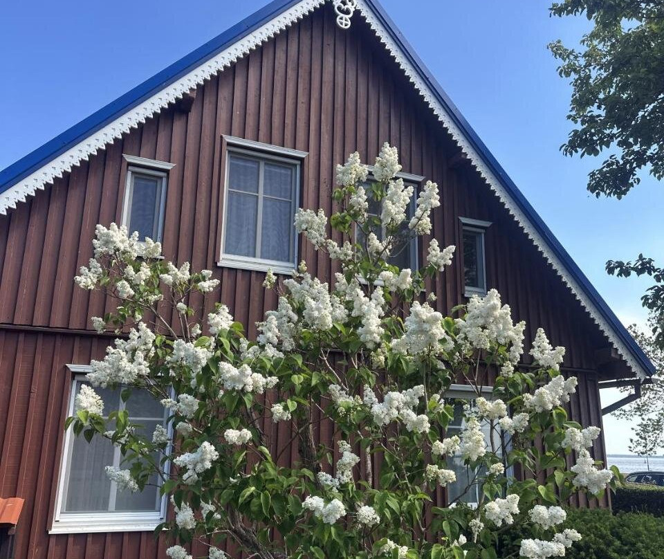 Neringarent Apartamentai