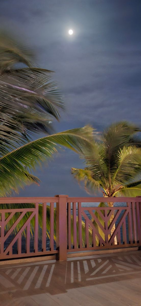 Margaritaville Island Reserve Riviera Maya by Karisma-泳池