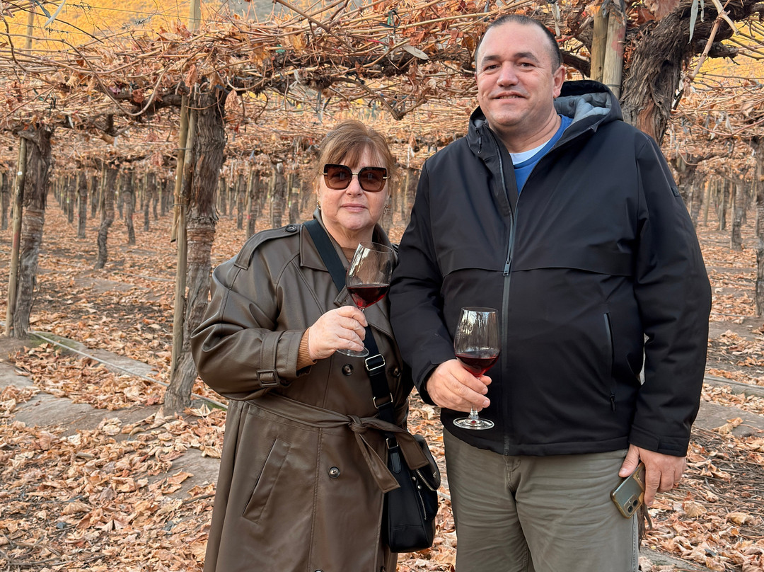 Cuatro Almas Wines-Buin必去景点