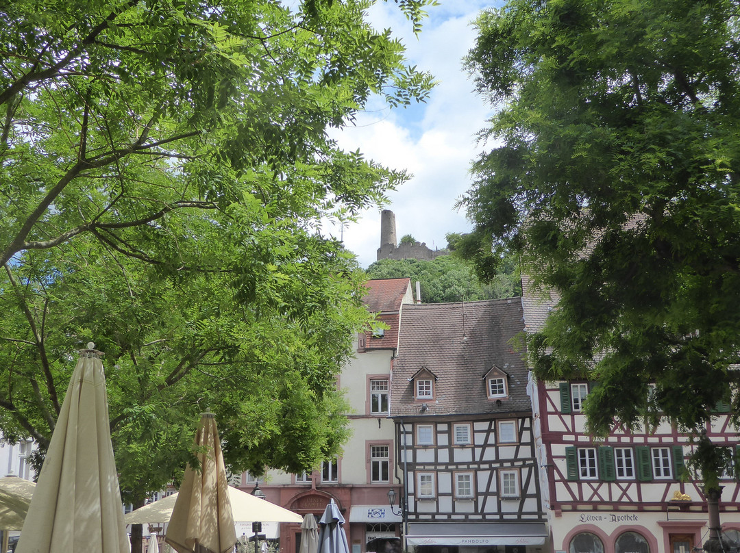 Altstadt Weinheim-魏因海姆必去景点