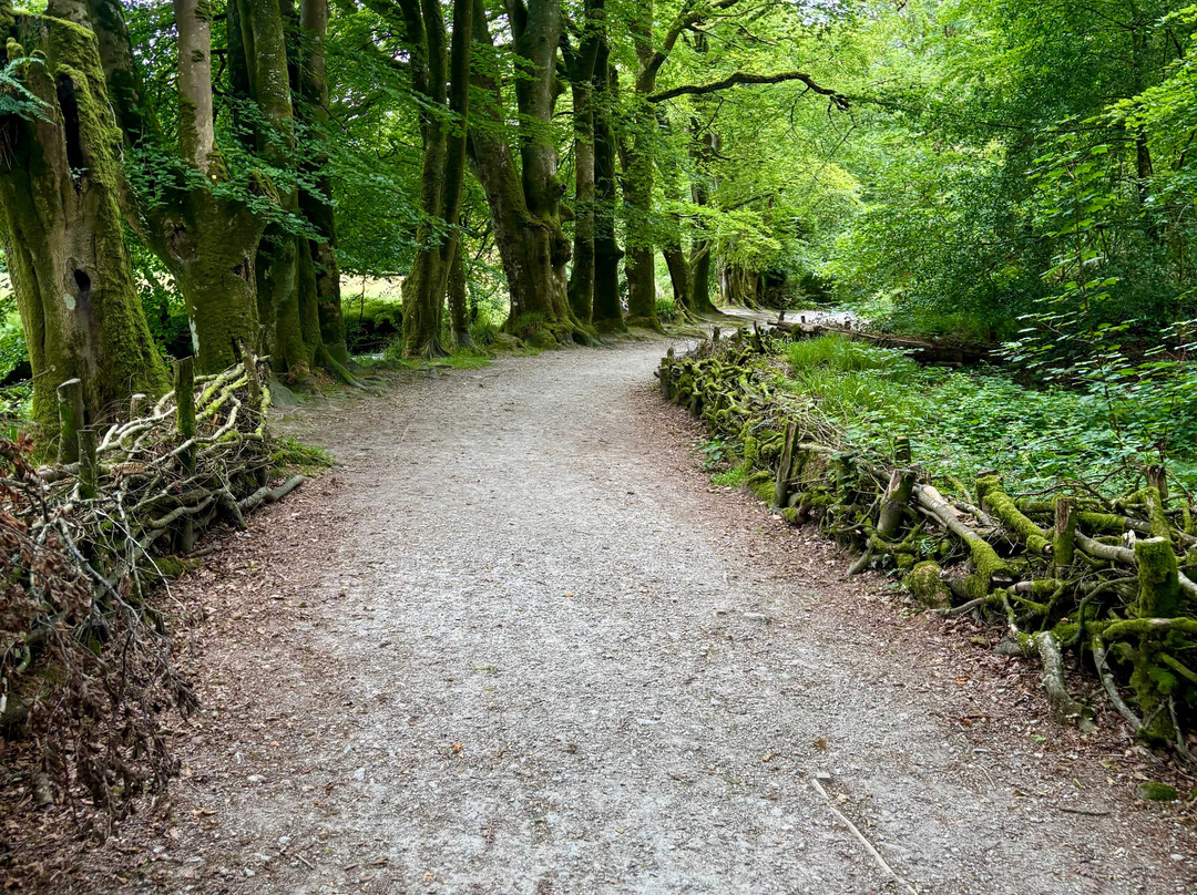 Golitha Falls-利斯卡德必去景点