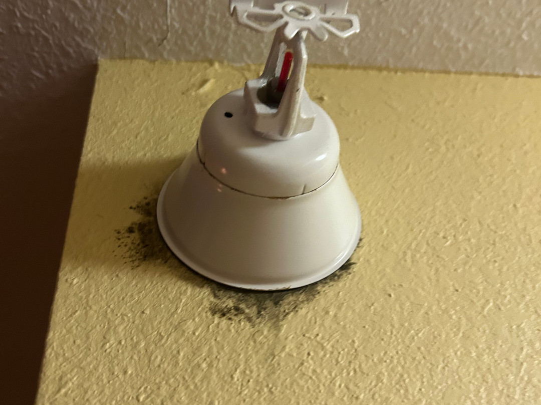 克利尔莱克广场贝斯特韦斯特酒店主图
