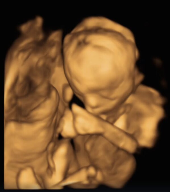 4D Baby Studio LLC