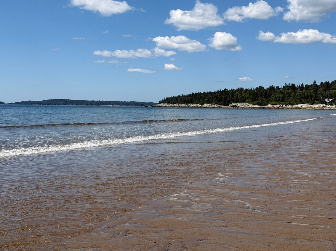 New River Beach Provincial Park-New River Beach必去景点