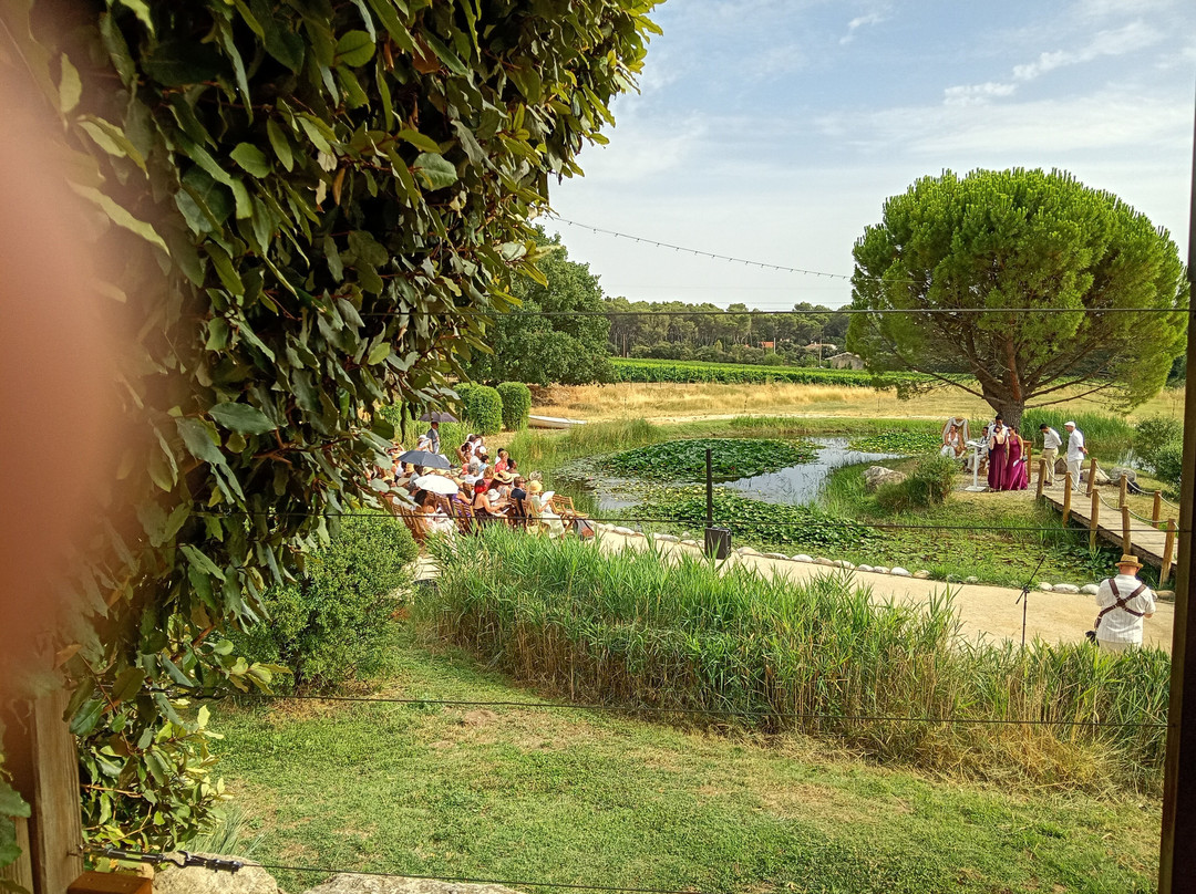 Domaine Amourella