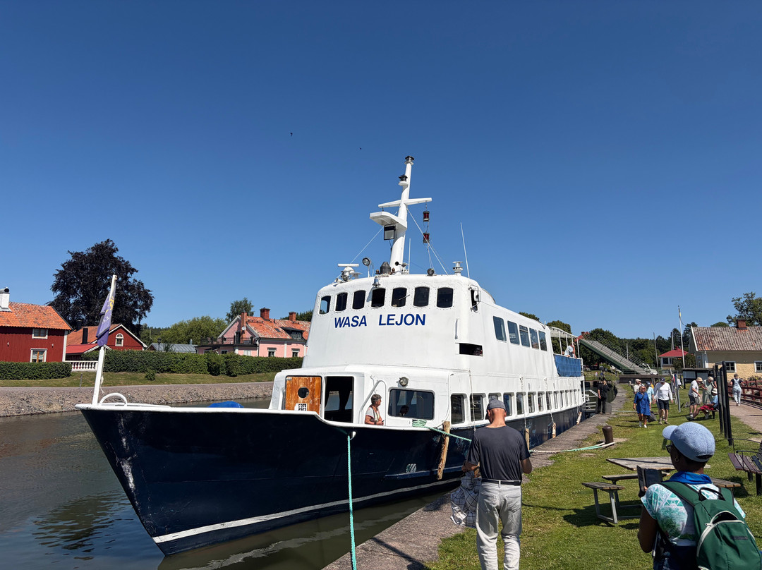 M/s Wasa Lejon