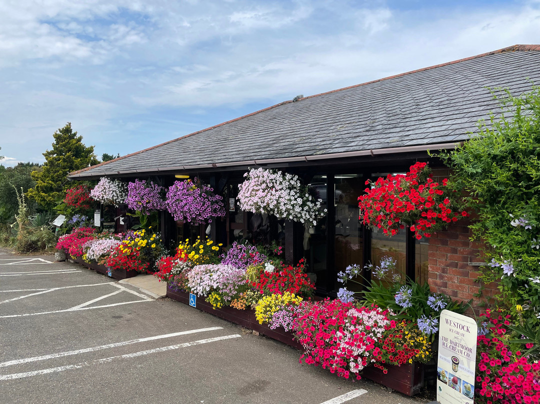 Plant World Gardens & Nursery-牛顿阿伯里必去景点