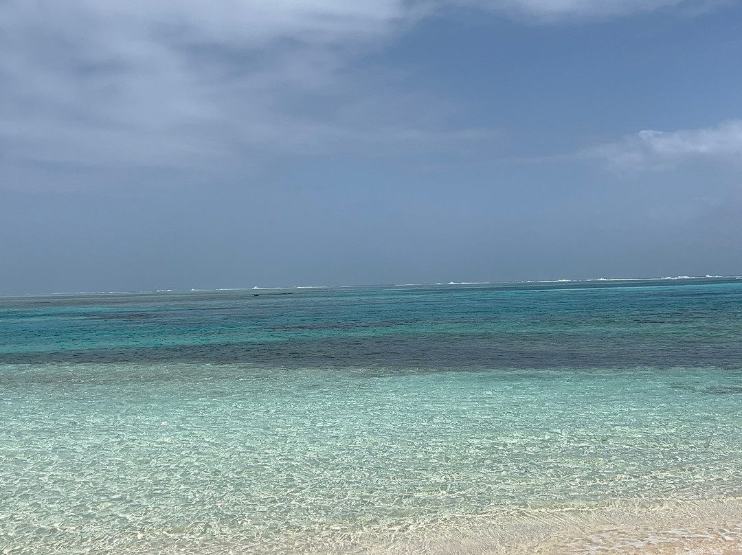 Catamaran Adventures San Blas-埃尔波韦尼尔必去景点