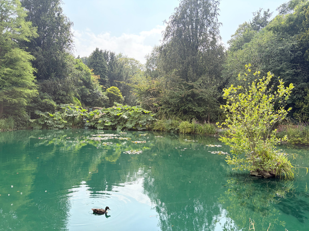 Walton Hall And Gardens-沃灵顿必去景点