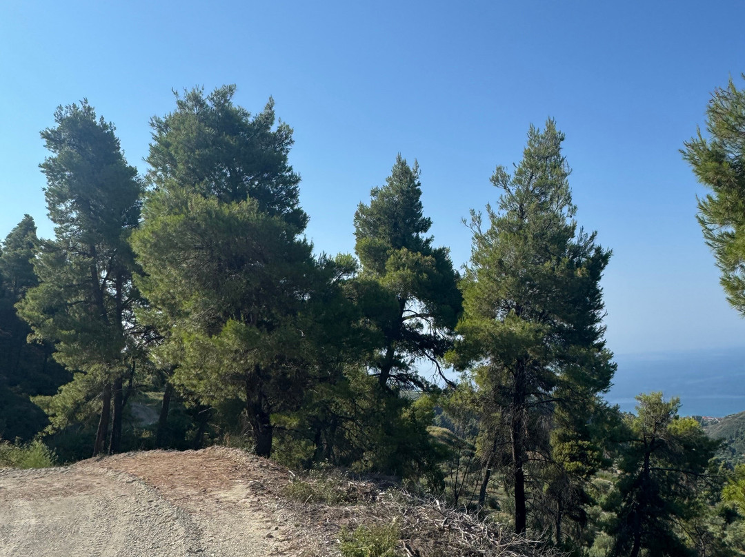 Halkidiki Ebike Suntours & rentals-Hanioti必去景点