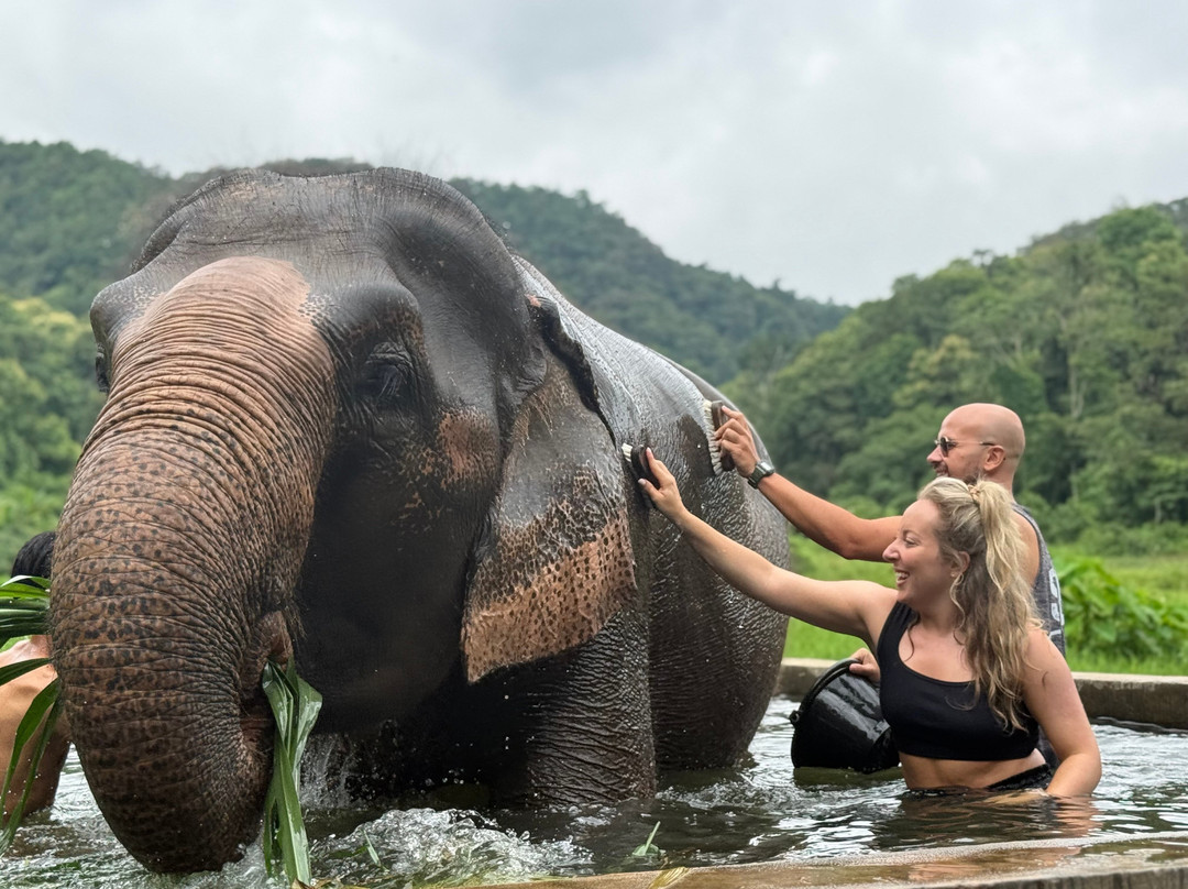 Lanna Kingdom Elephant Sanctuary-清迈必去景点