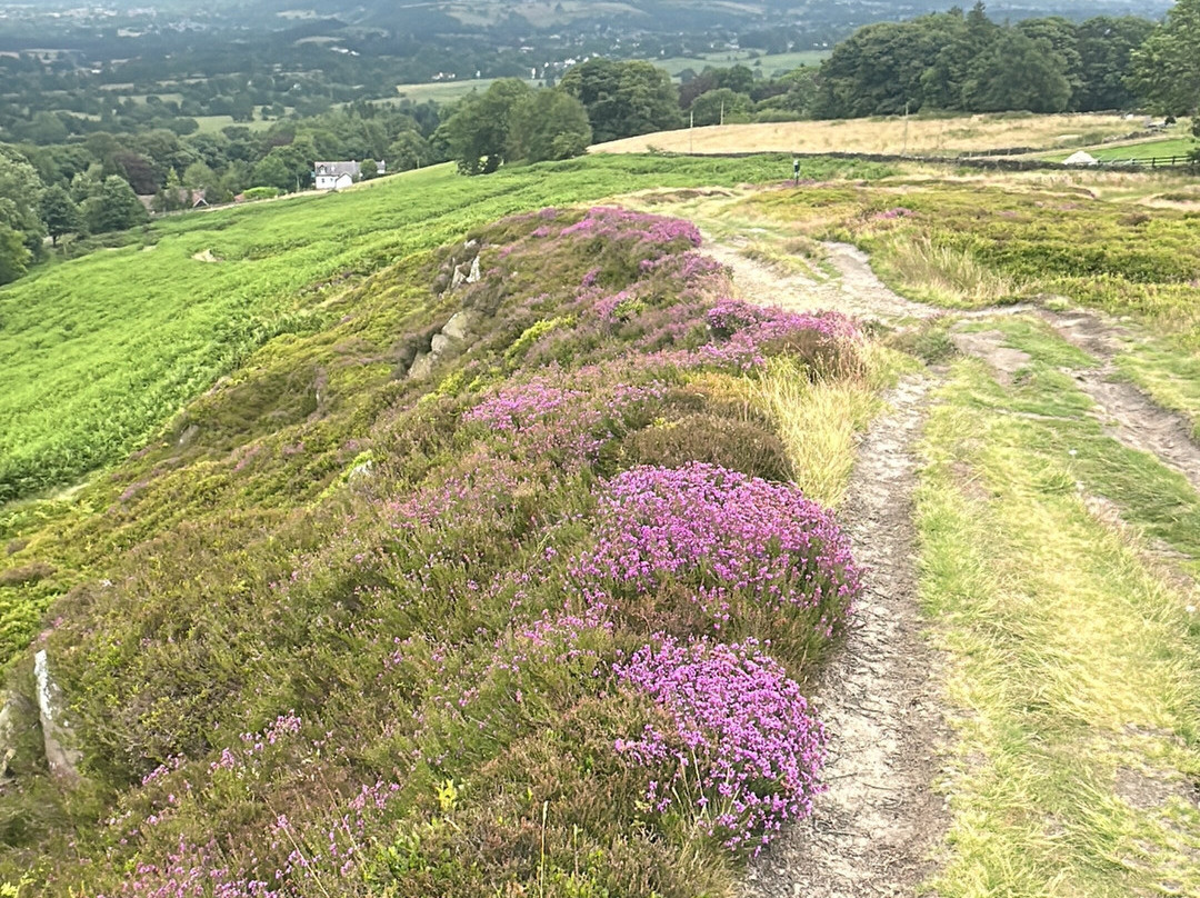 Ilkley Moor-伊尔克利必去景点