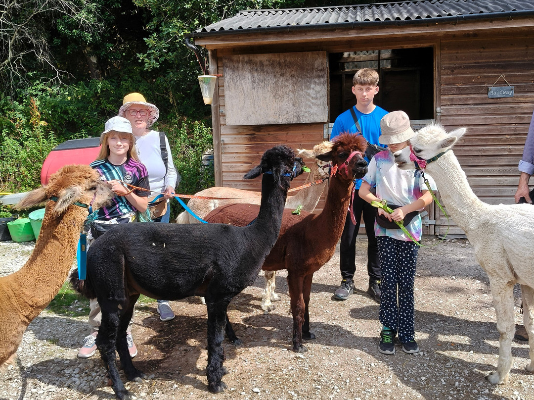 Colomendy Alpaca Farm-诺特霍普厅必去景点