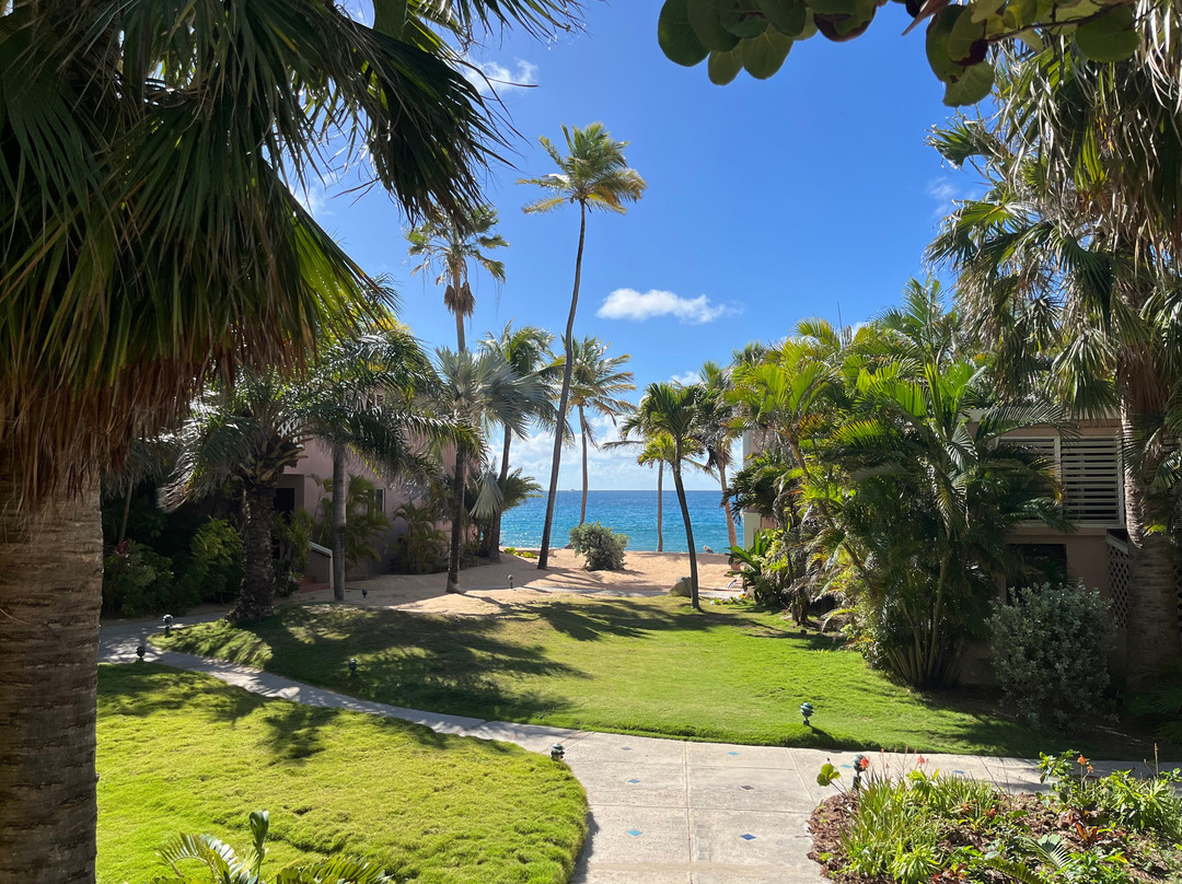 Curtain Bluff Resort主图