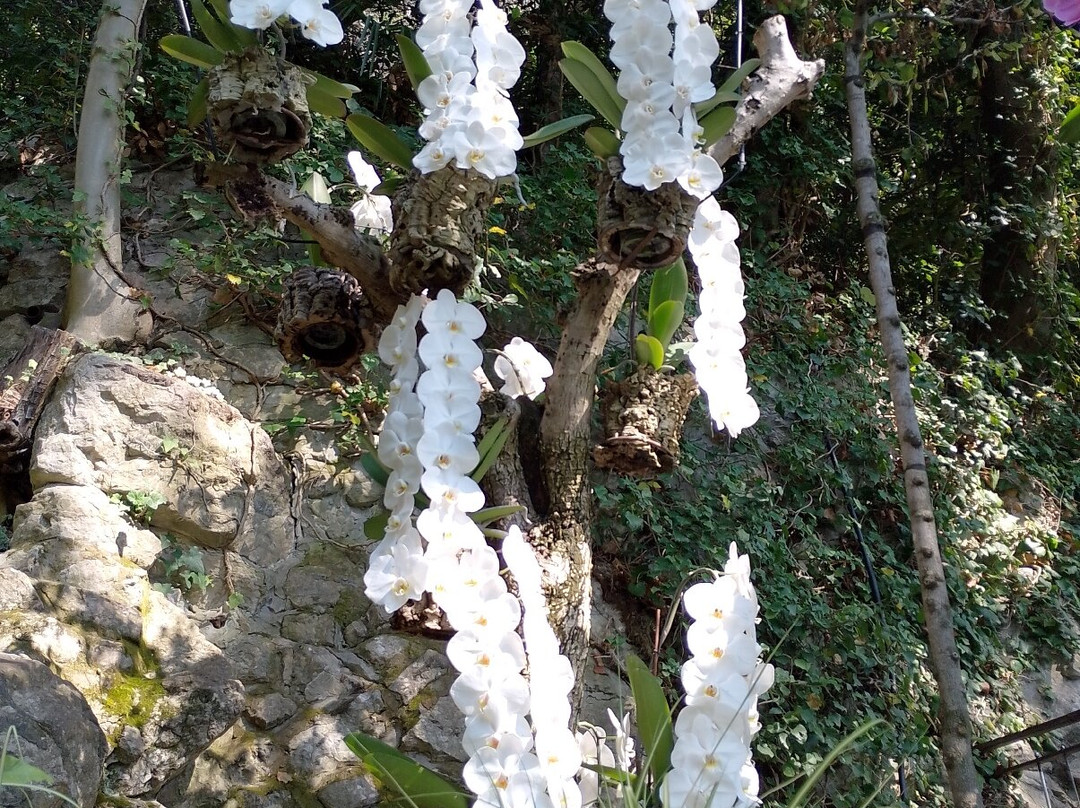 Parco Grotta Cascata Varone-Tenno必去景点