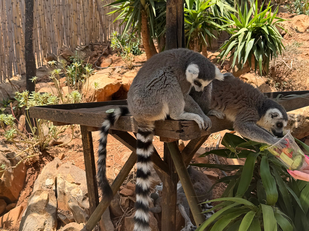 Amazonas Park-Kourounes必去景点