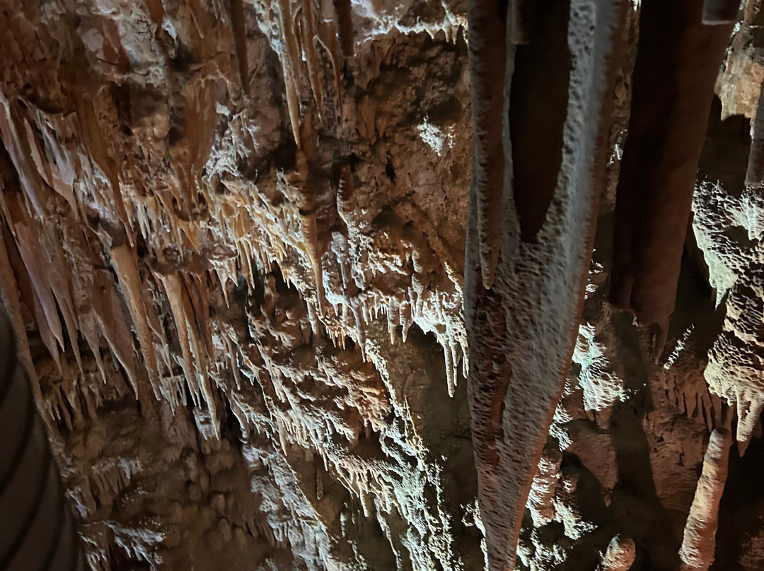 Grotta del Trullo-Putignano必去景点