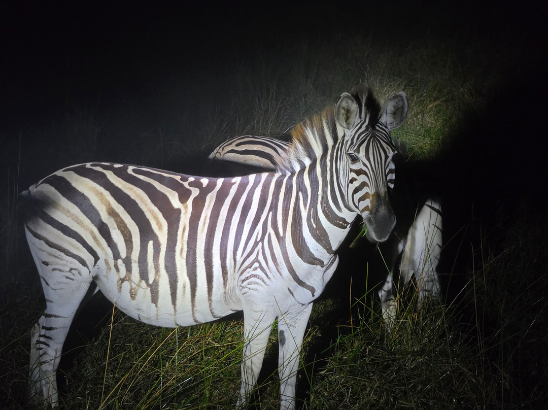 Kwalucia Private Safari Retreat主图