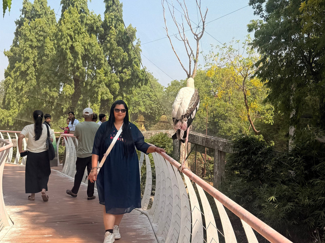 Sayaji Baug Zoo-瓦都达拉必去景点