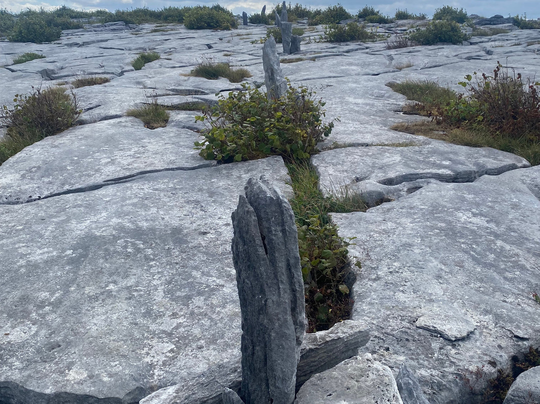 Lough Avalla Farm Looped Walk-Burren National Park必去景点
