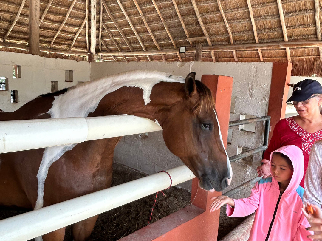 Rancho Ecoturístico Bonanza-从莫雷洛斯港必去景点