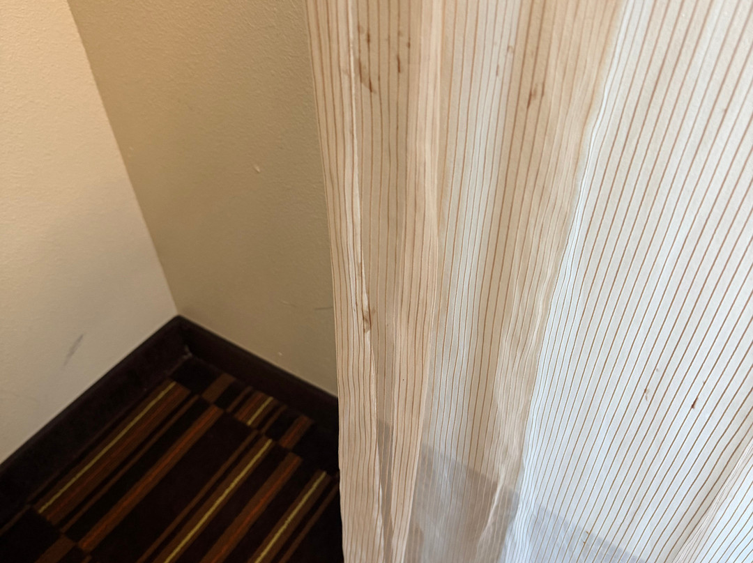 魏科马旅馆主图