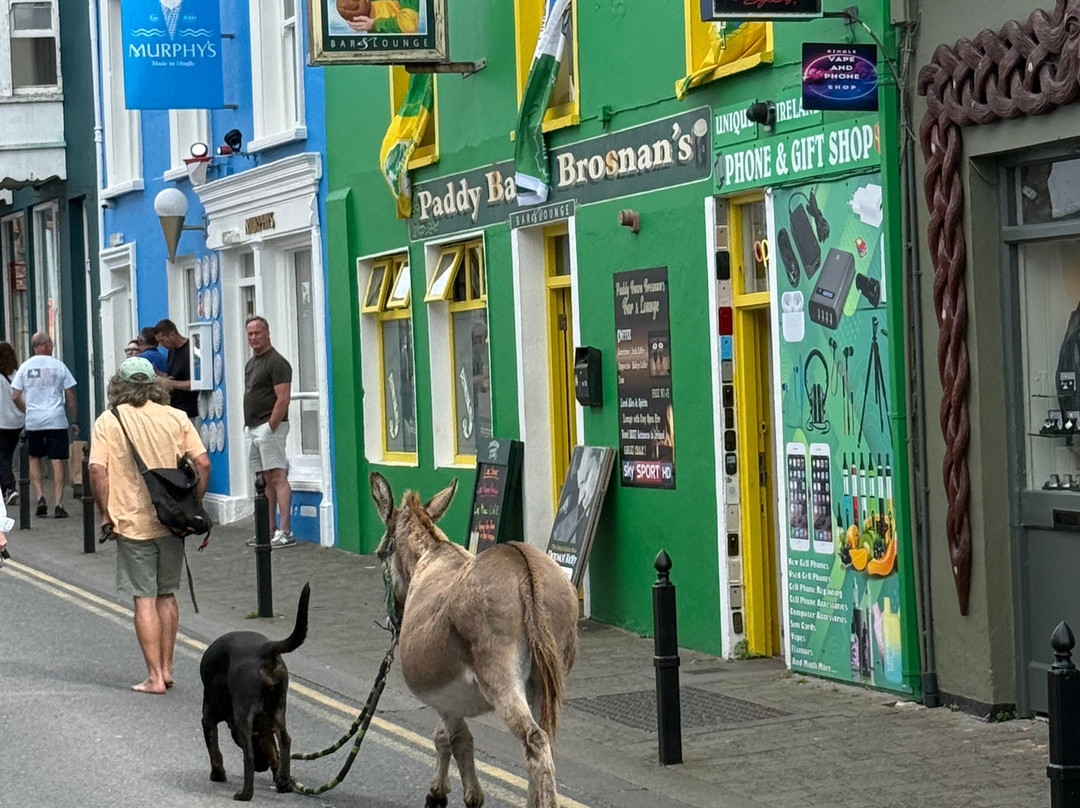 Kerry Experience Tours-Sneem必去景点
