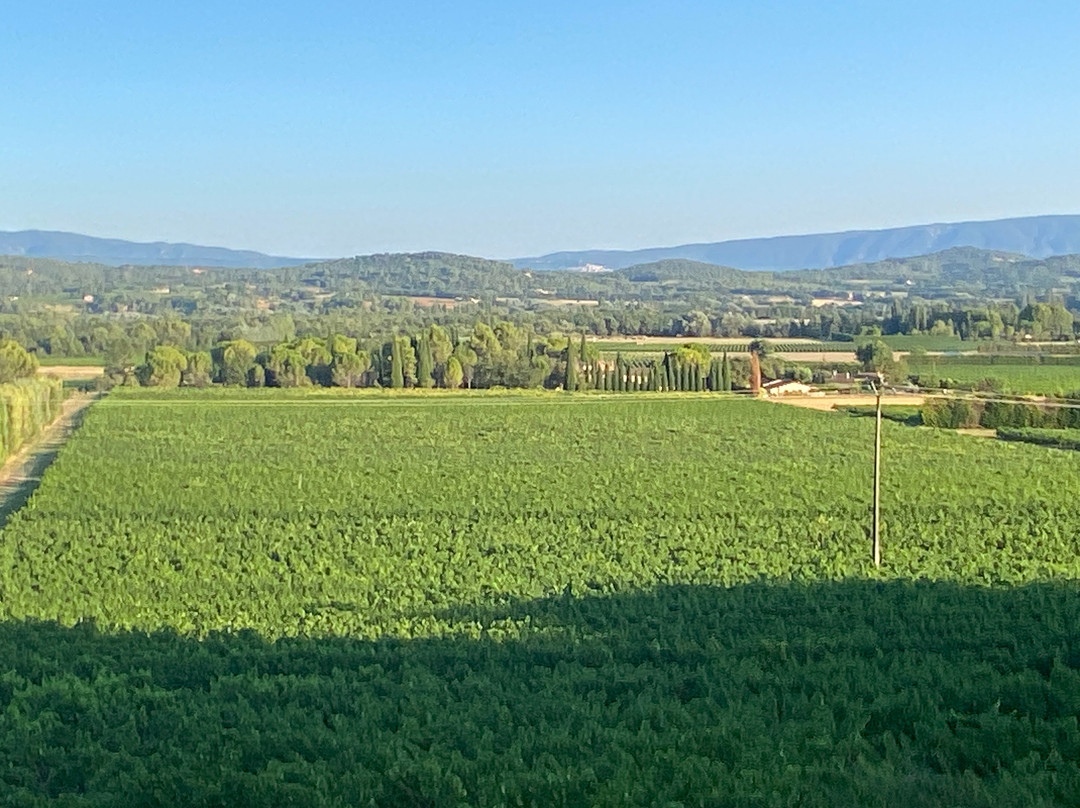 La Terrasse des Aromates