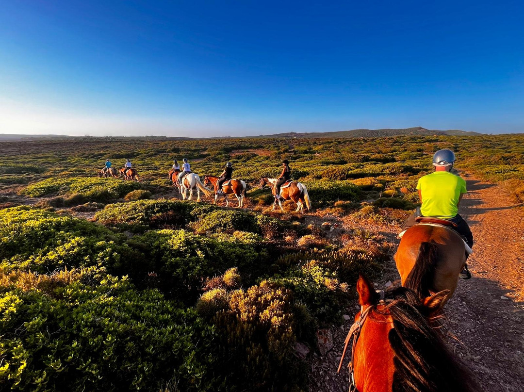 Carolina Ranch Escursioni e Tour-Sant'Antioco必去景点