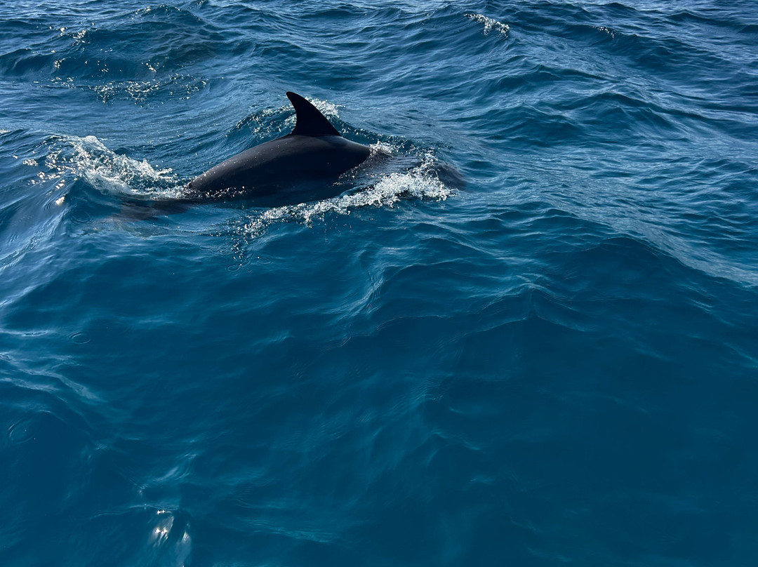 Hurghada Excursions & Tours in the Red Sea-赫尔格达必去景点