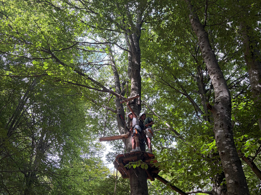Parc Aventure Monte Tamaro-Rivera必去景点