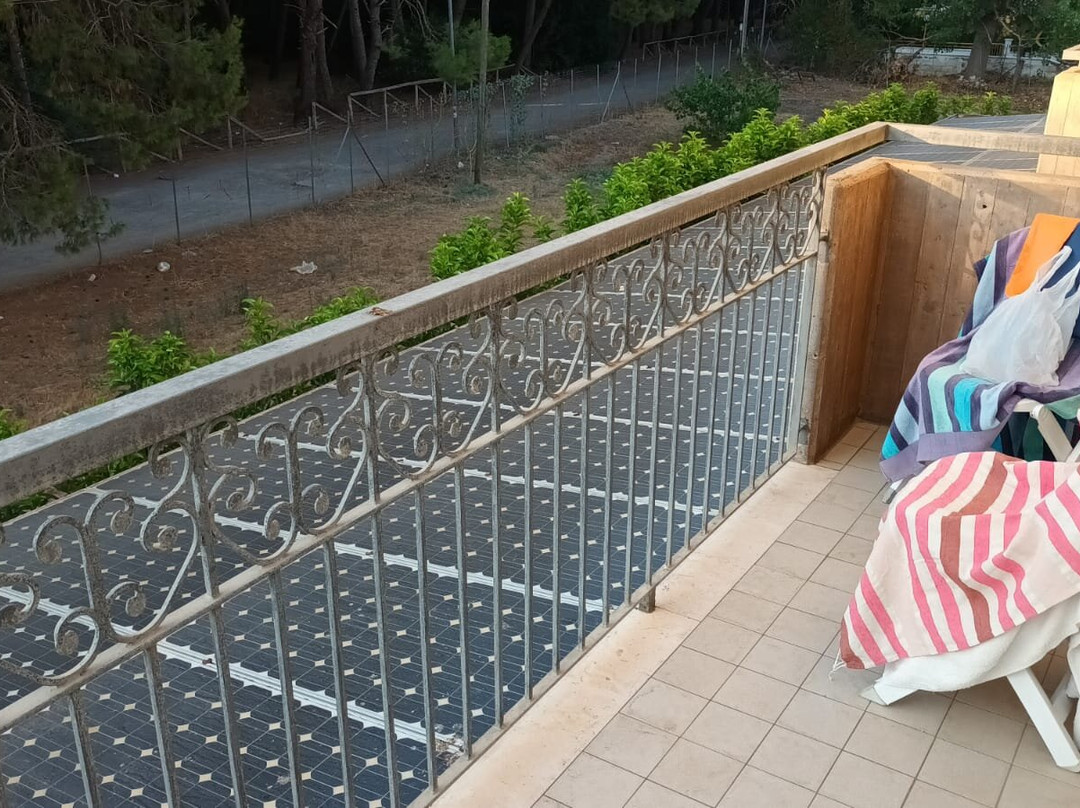 Cassiopea Lido Hotel主图