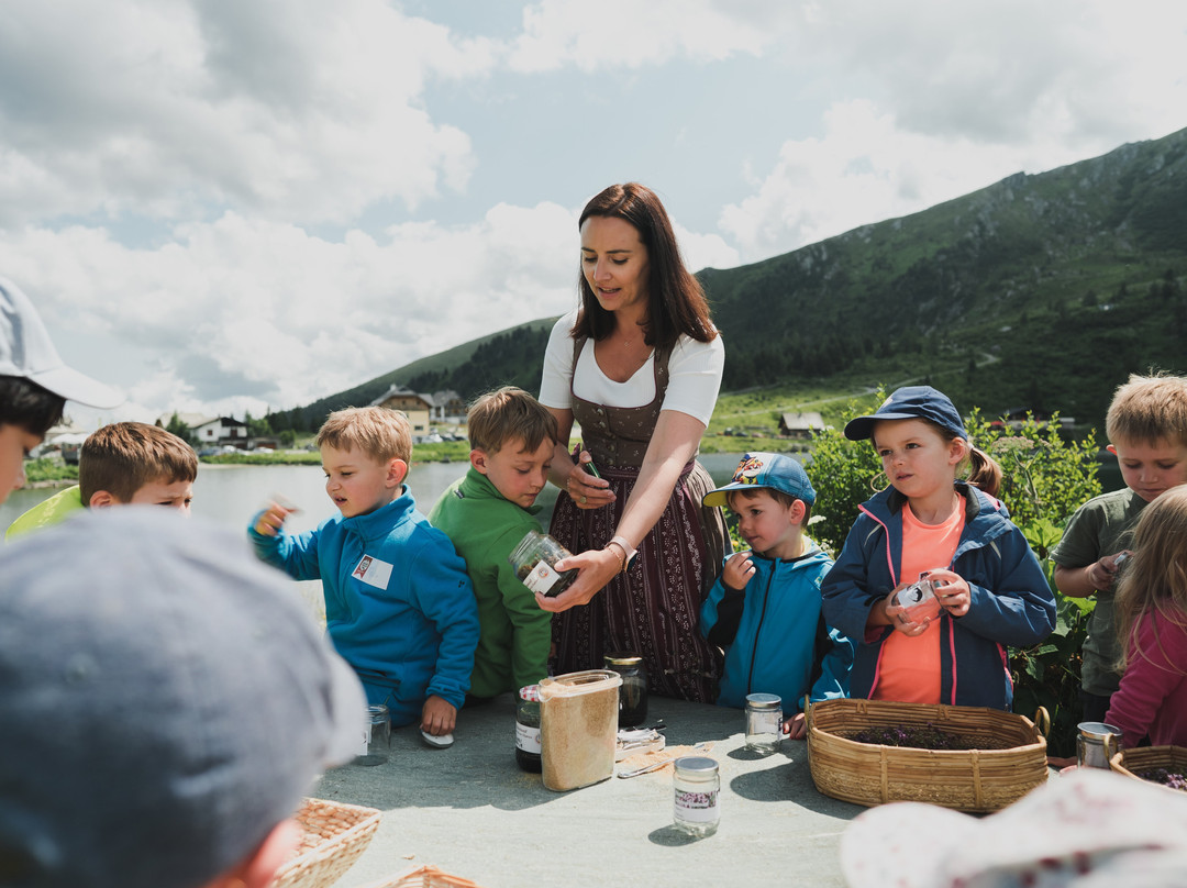 Heidi-Hotel Falkertsee - Kinderhotel主图