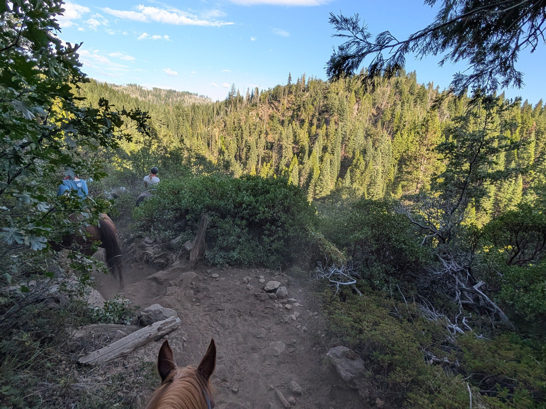 Yosemite Trails Horseback Adventures-菲什营必去景点