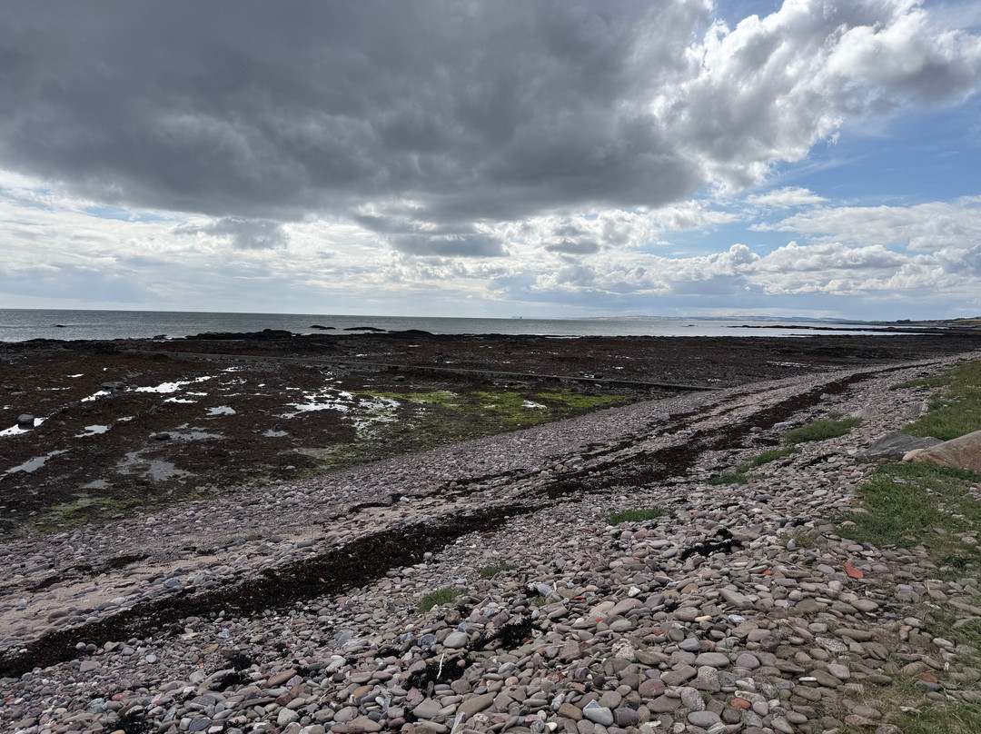 Ecclesgreig Holiday Park