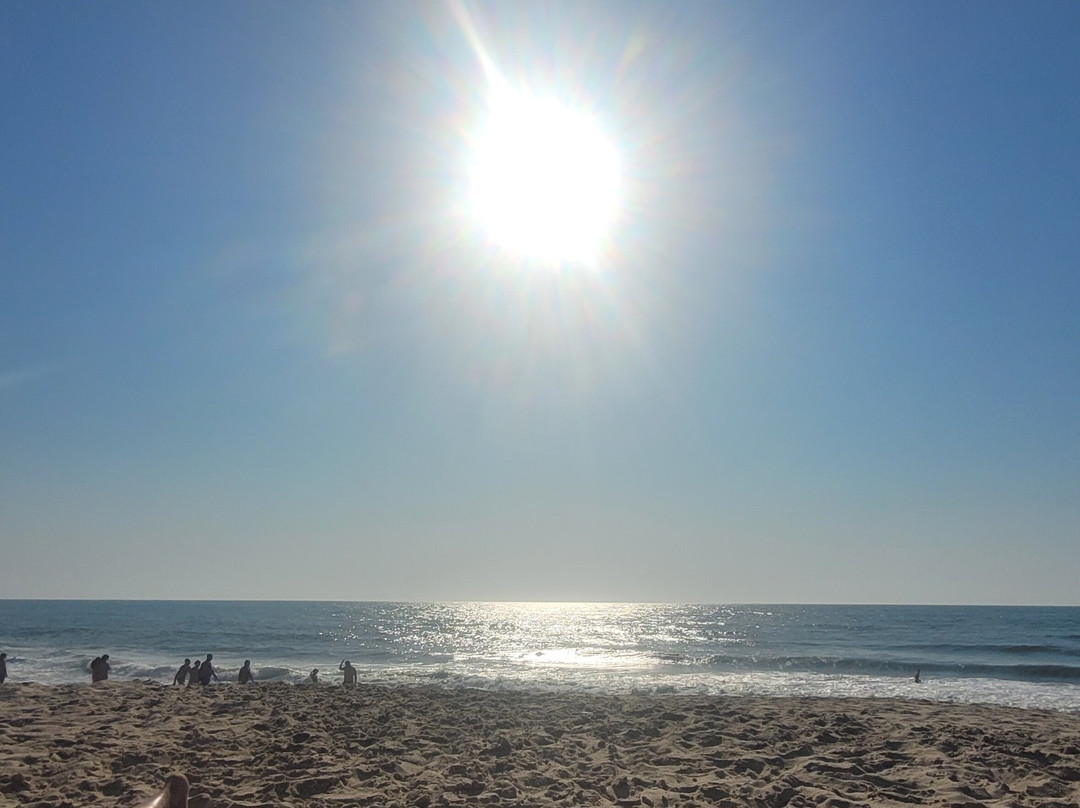 Praia da Vagueira-Vagos必去景点