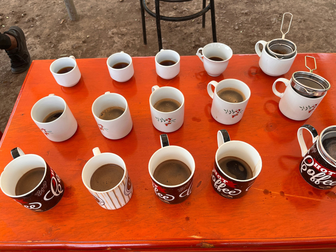 Kisoro Volcanic Organic Coffee-Kisoro必去景点