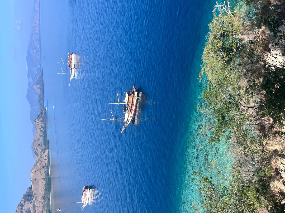 Floresta Liveaboard-Rinca必去景点