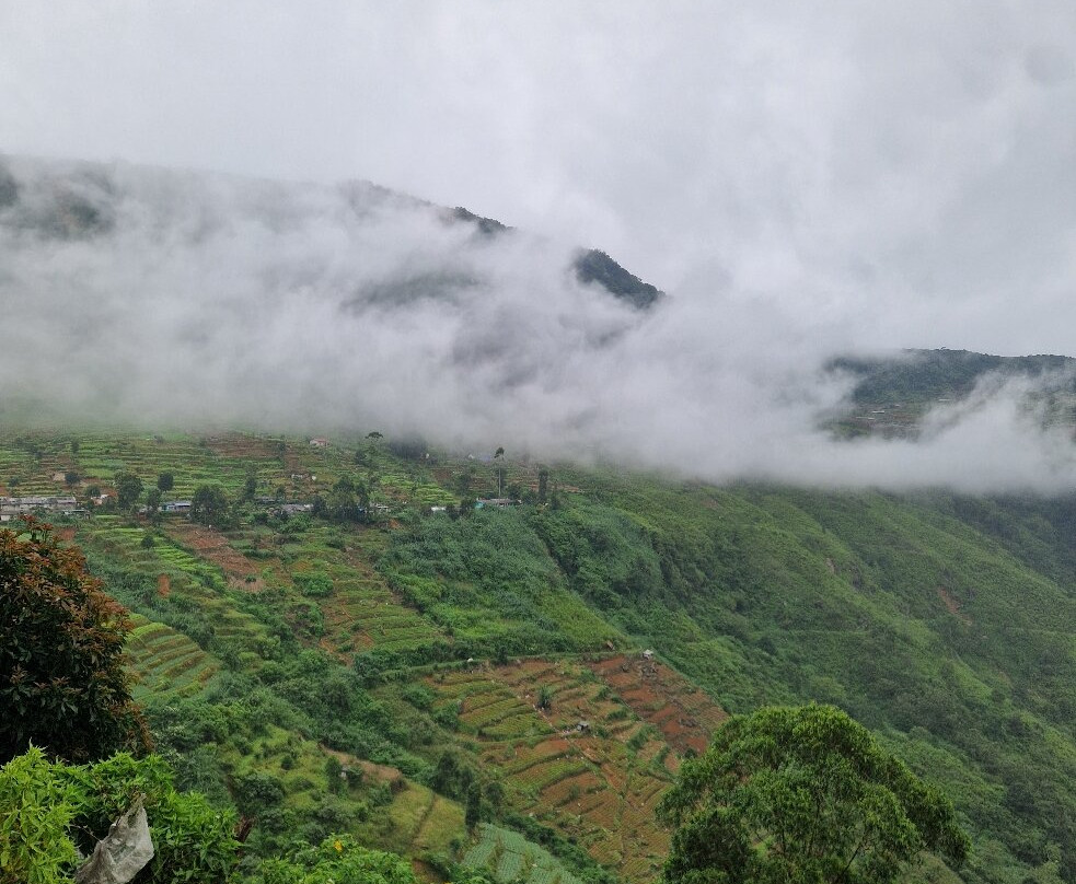 Pekoe Lanka Tours-康提必去景点