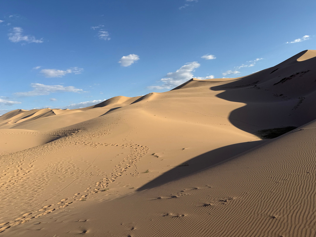 Selena Travel Mongolia-乌兰巴托必去景点