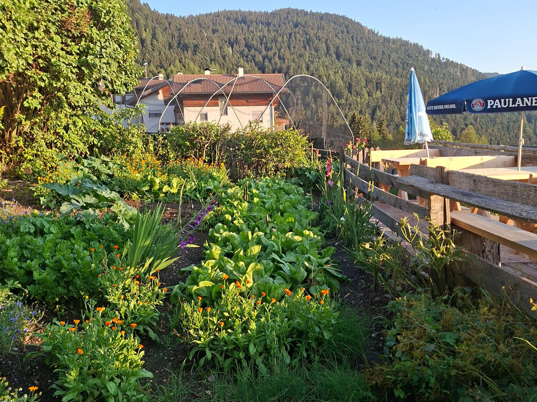 Fichtenhof Pension and Restaurant主图