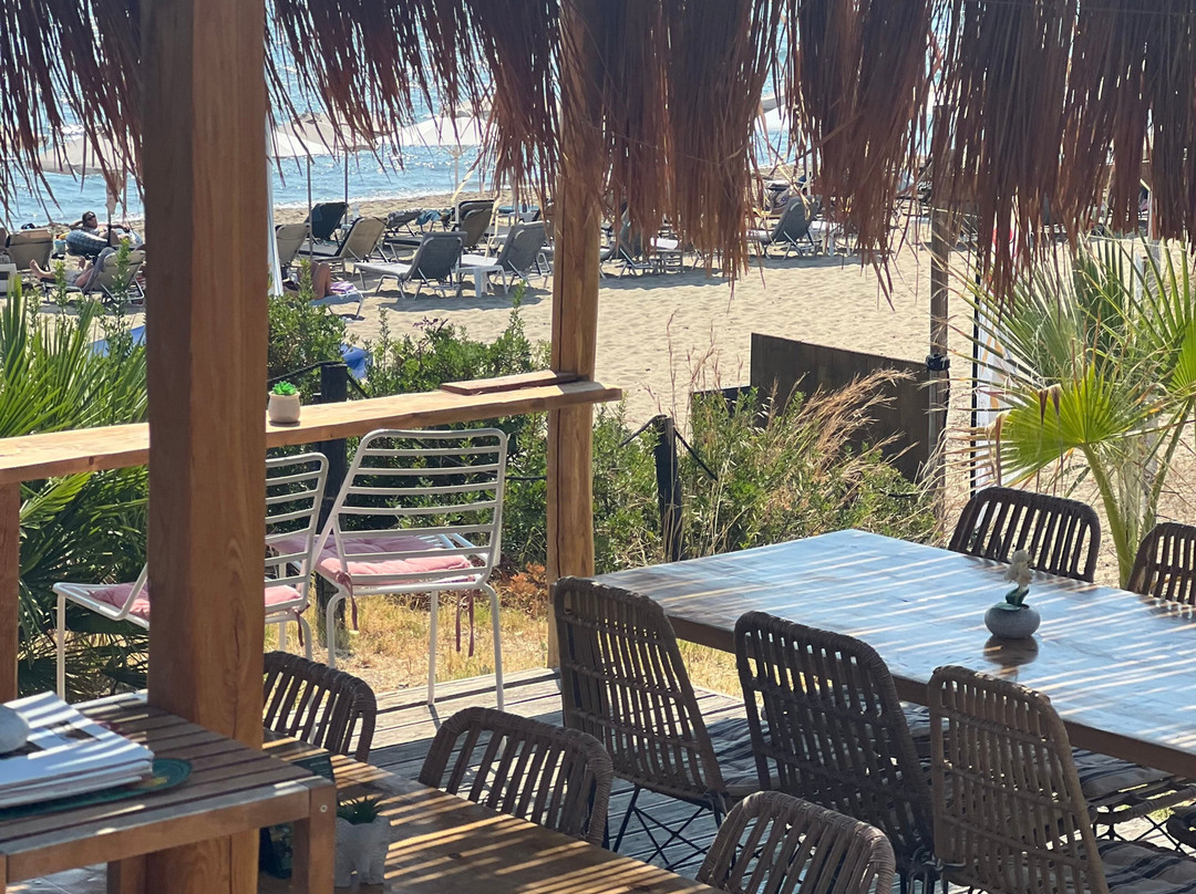 Kaminia Beach-Eleios-Pronnoi必去景点