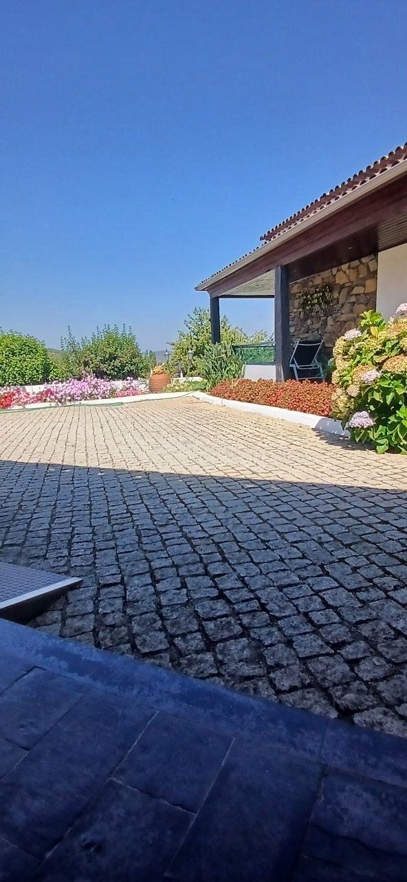 S. Torcato Moradal-旅行者