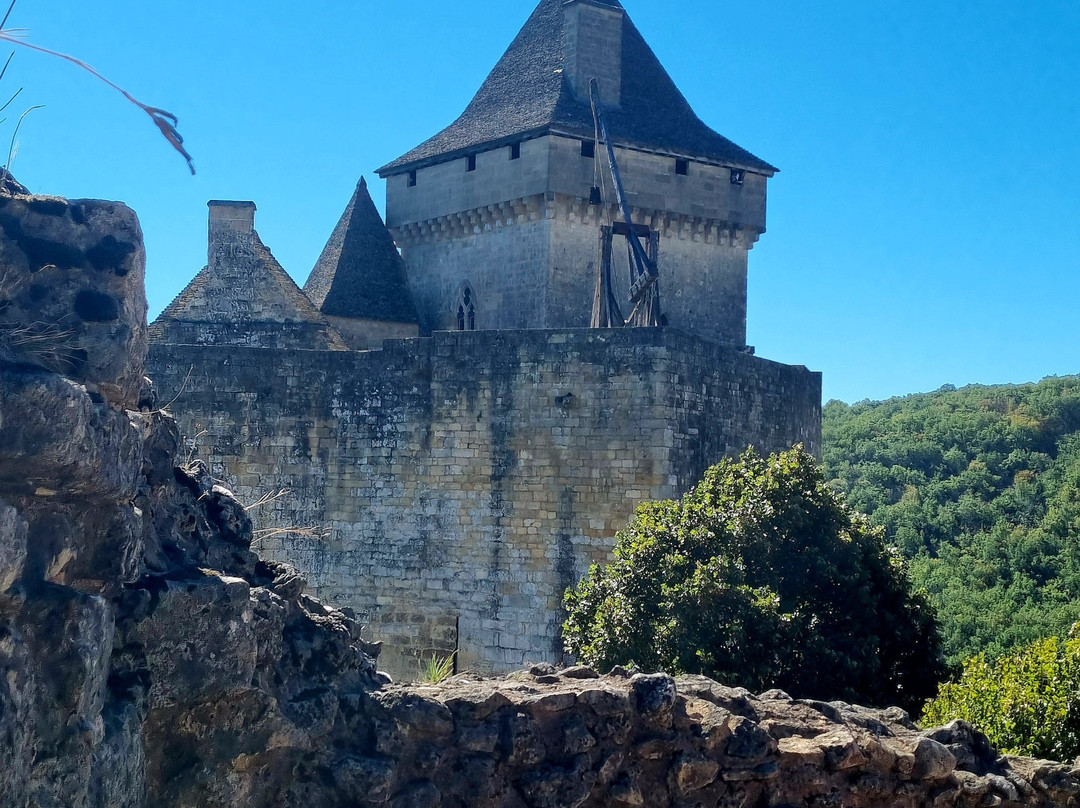 Château de Castelnaud-Castelnaud-la-Chapelle必去景点