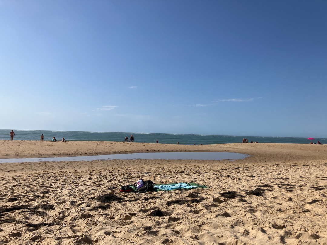 Plage de la Pointe Espagnole-La Tremblade必去景点